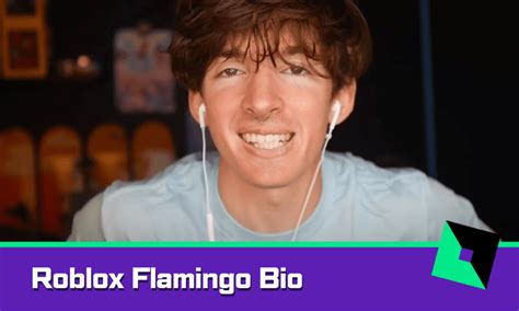 flamingo youtuber|The Roblox YouTuber Experience .